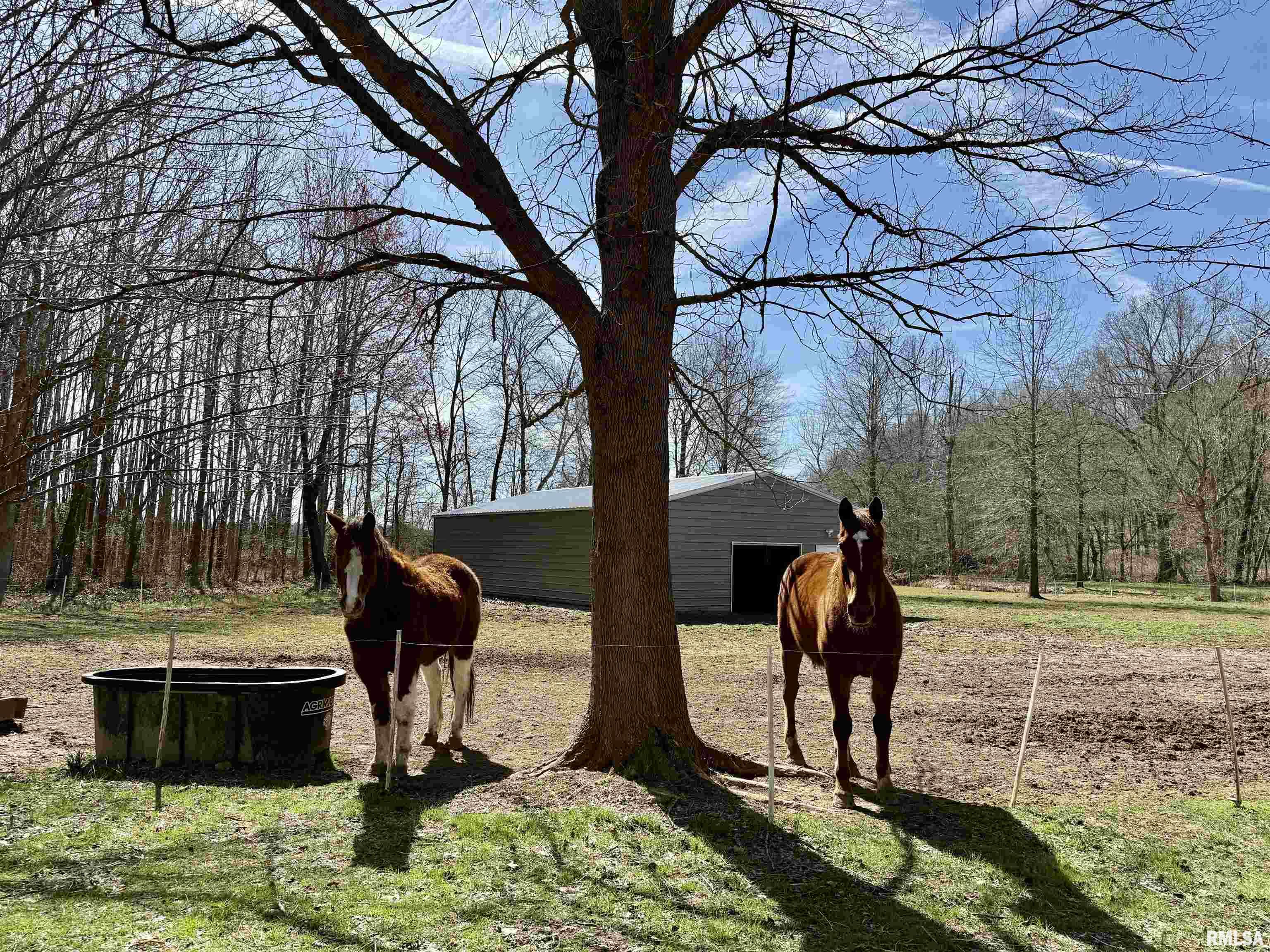6180 Reevesville Road, Grantsburg, Illinois image 27