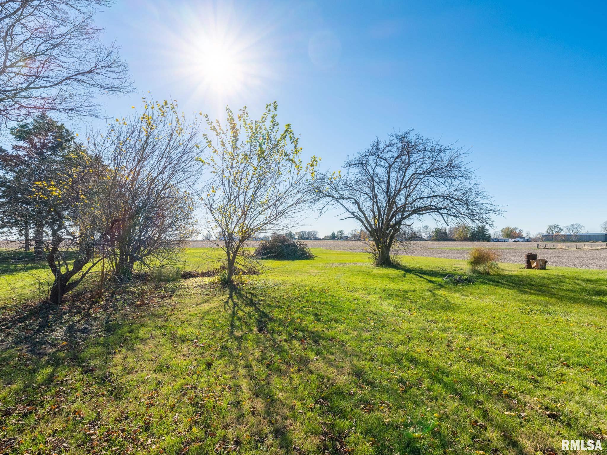 18412 Farmington Road, Trivoli, Illinois image 38