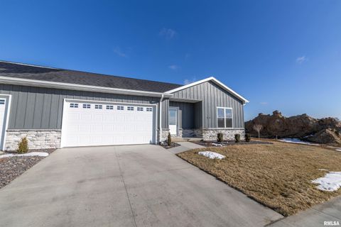 Homes For Sale - 5039 Chestnut Street<br/> Adams County, Quincy, IL 62305