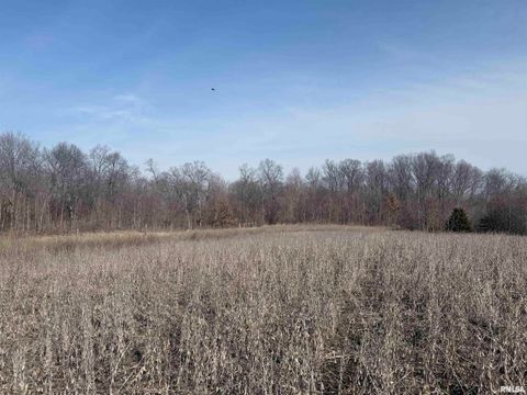 Vacant Land For Sale - 4215-4123 925th Street<br/> Paris, IL 61944