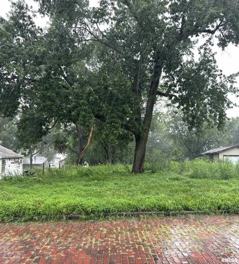 Vacant Land For Sale - 426 S Orange Street<br/> Havana, IL 62644