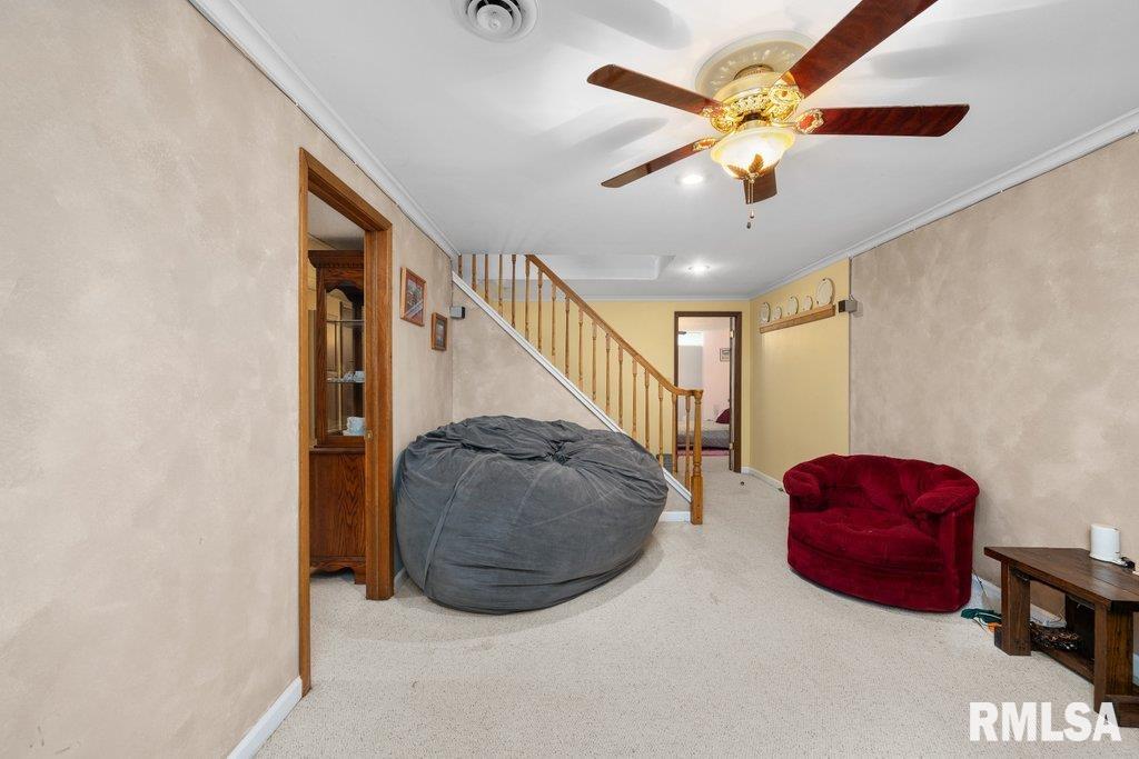 111 S Barrington Drive, Hampton, Illinois image 20