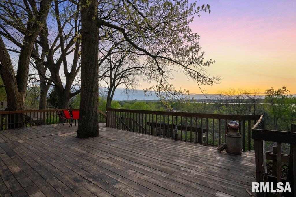 111 S Barrington Drive, Hampton, Illinois image 36