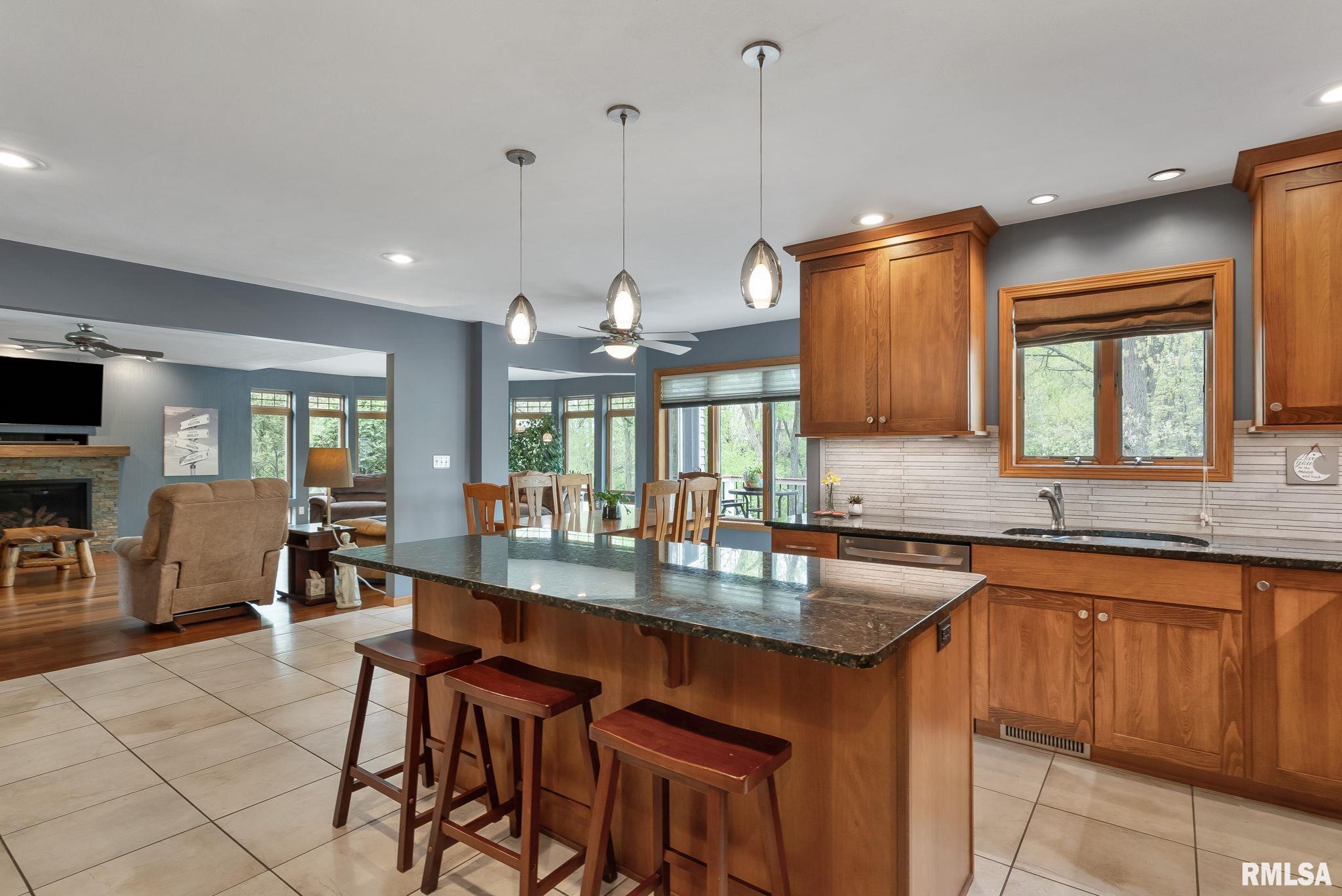 1303 Lakeside Court, Port Byron, Illinois image 17
