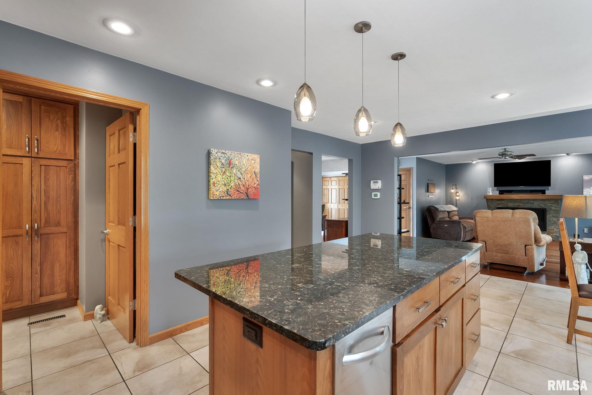 1303 Lakeside Court, Port Byron, Illinois image 16