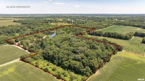 Vacant Land For Sale - 9368 Rhea Park Road<br/> Loami, IL 62661