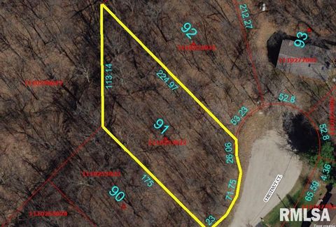 Vacant Land For Sale - 91 Chestnut Court<br/> Dahinda, IL 61428
