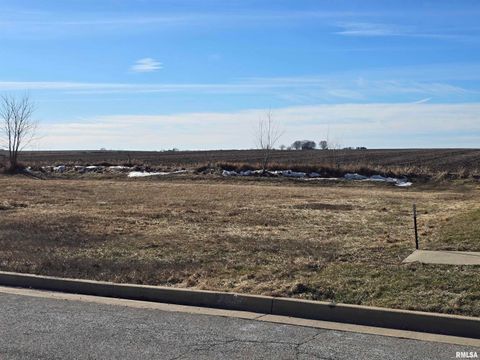 Vacant Land For Sale - 2120 Lexi Drive<br/> Woodford County, Eureka, IL 61530