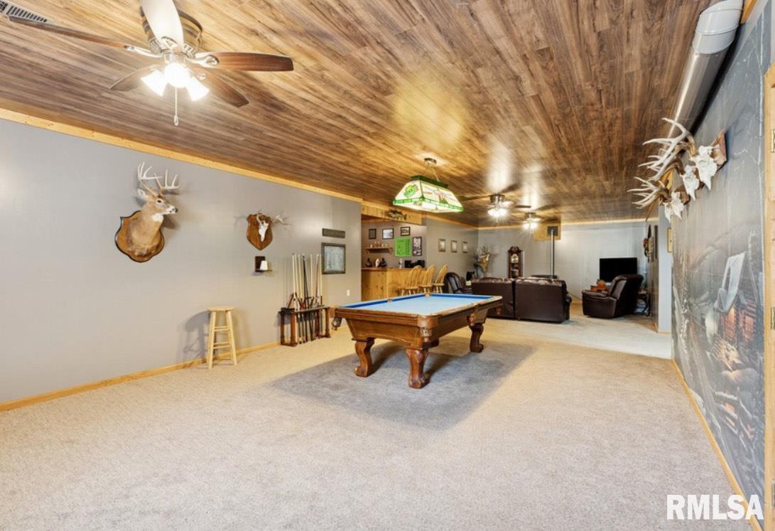 1745 345th Avenue, Goose Lake, Iowa image 28