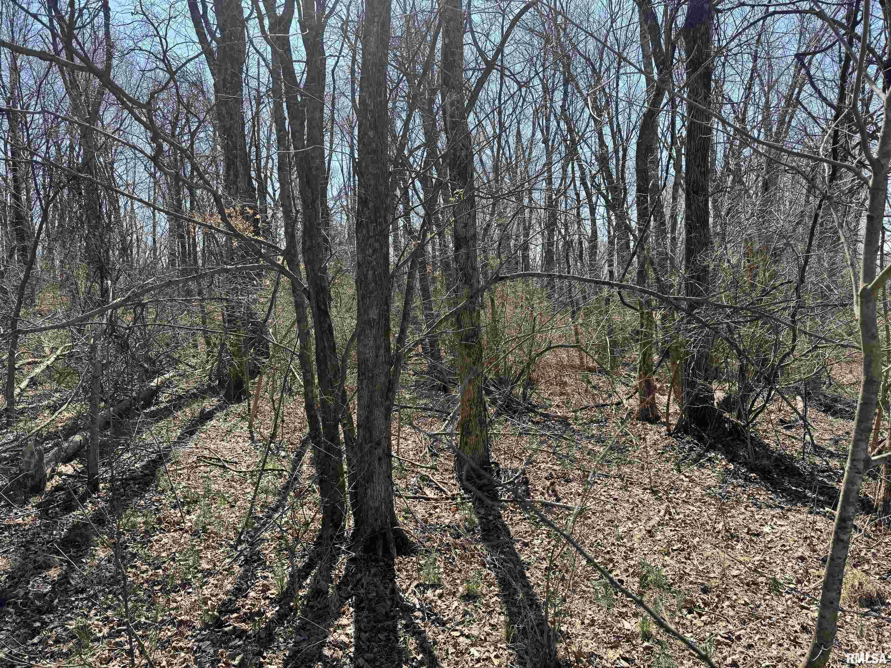 2260 N Lick Creek Road, Goreville, Illinois image 14