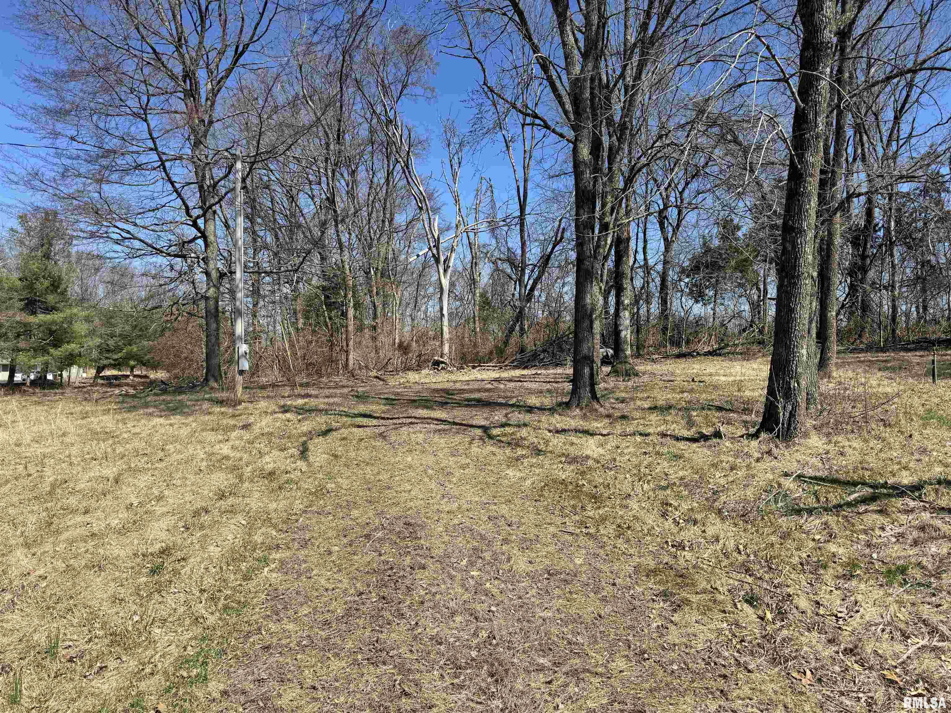 2260 N Lick Creek Road, Goreville, Illinois image 2
