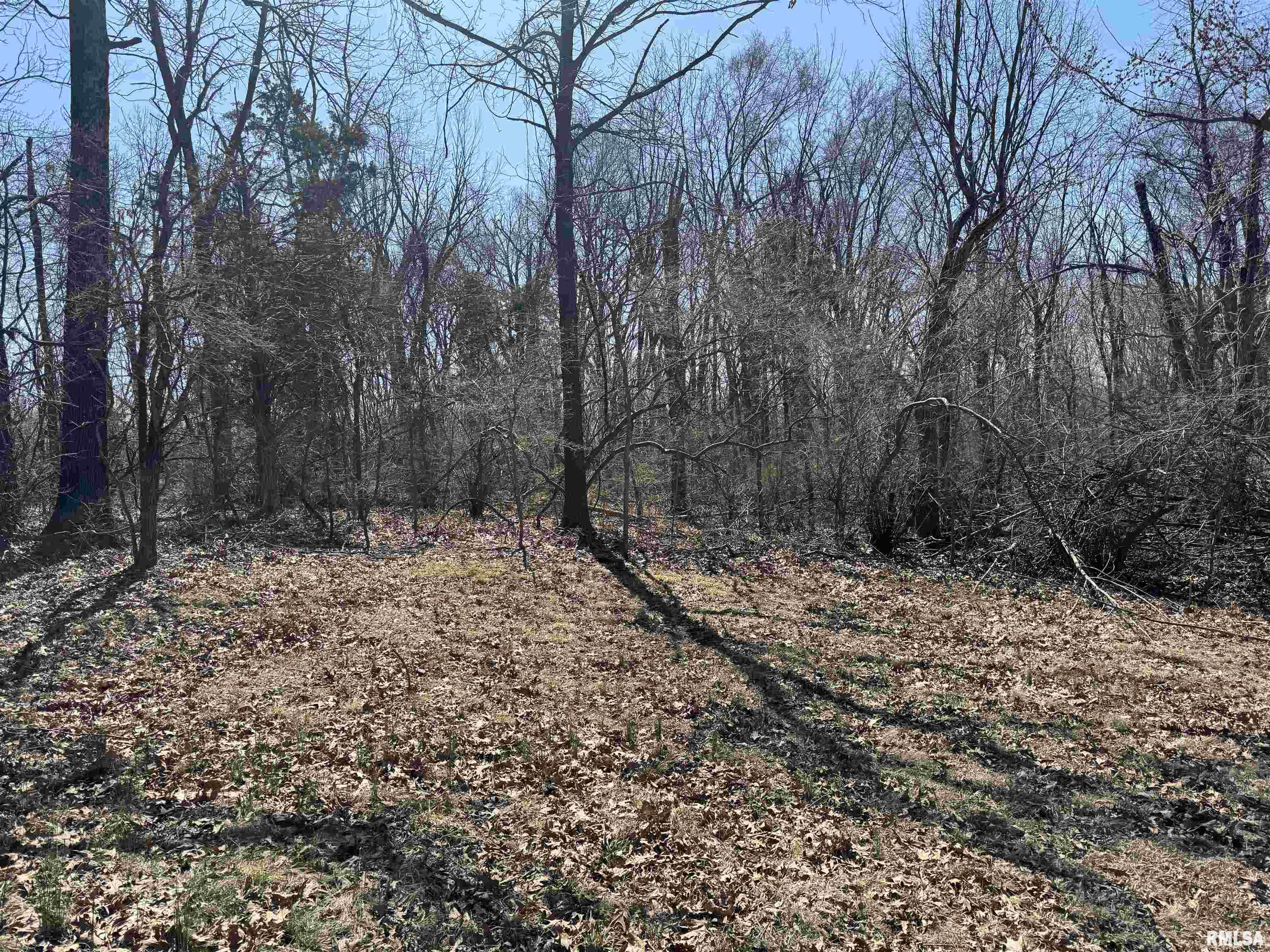 2260 N Lick Creek Road, Goreville, Illinois image 9