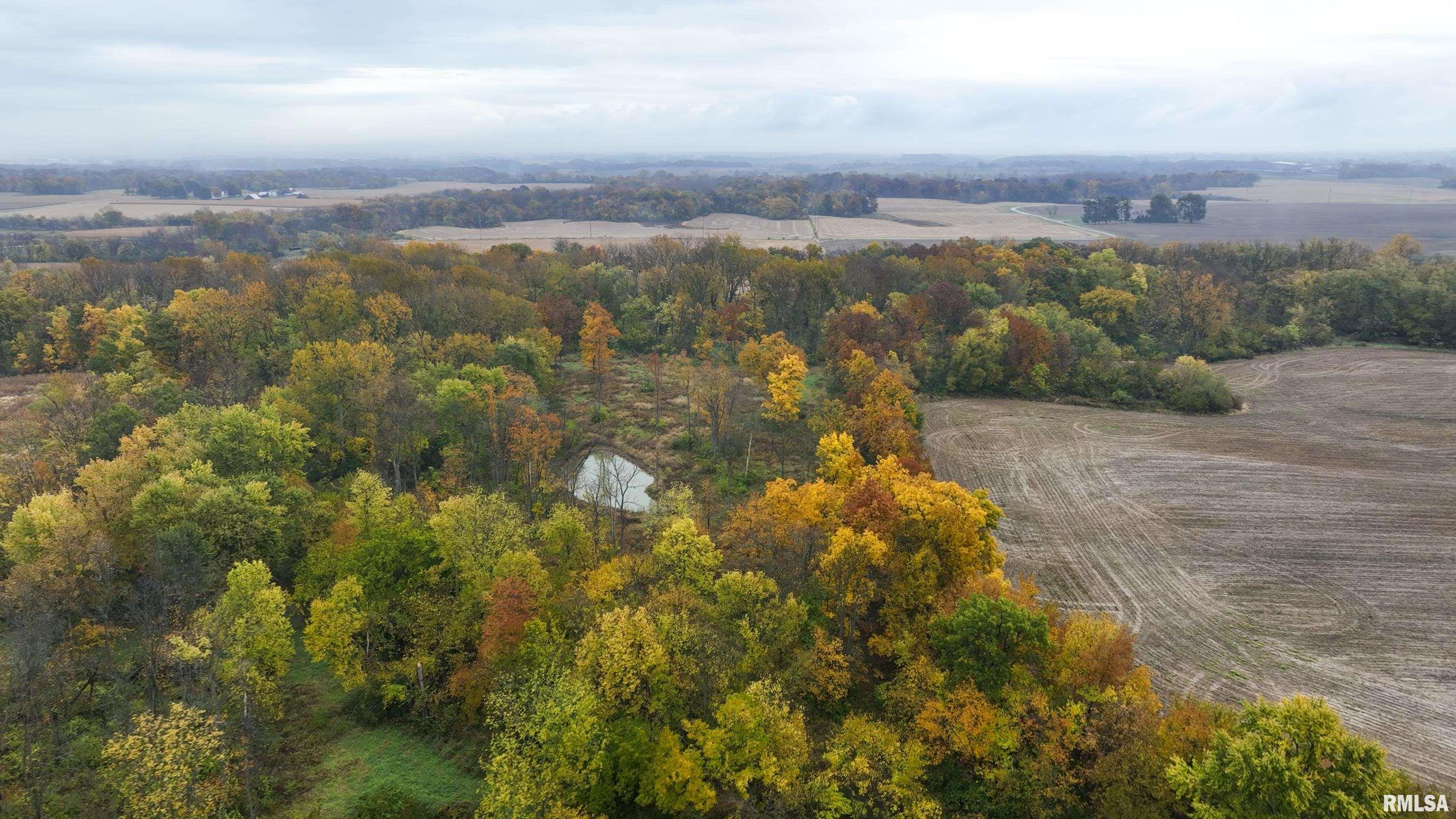 00 N Miller Road, Vermont, Illinois image 6