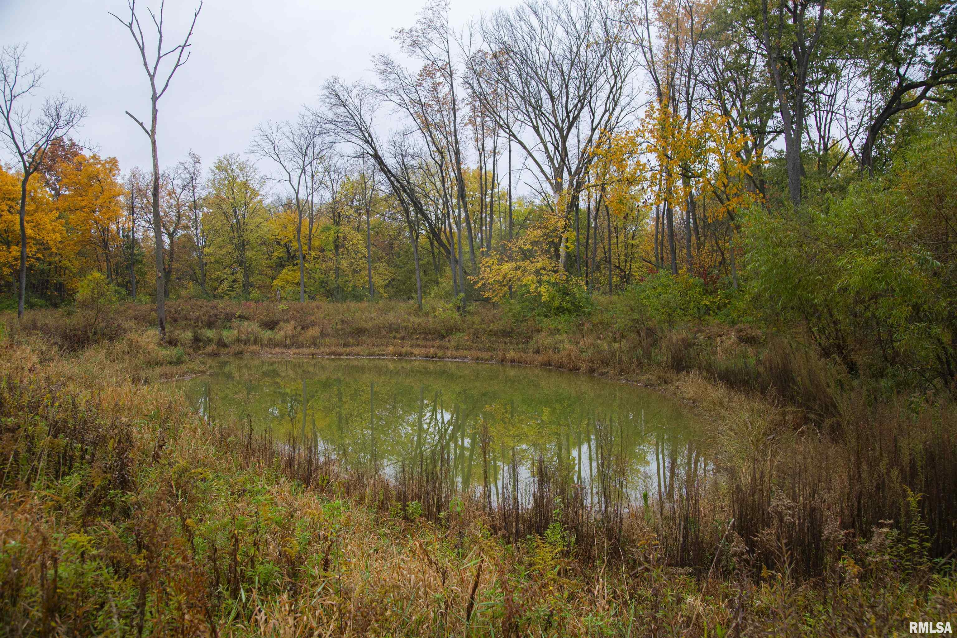 00 N Miller Road, Vermont, Illinois image 32