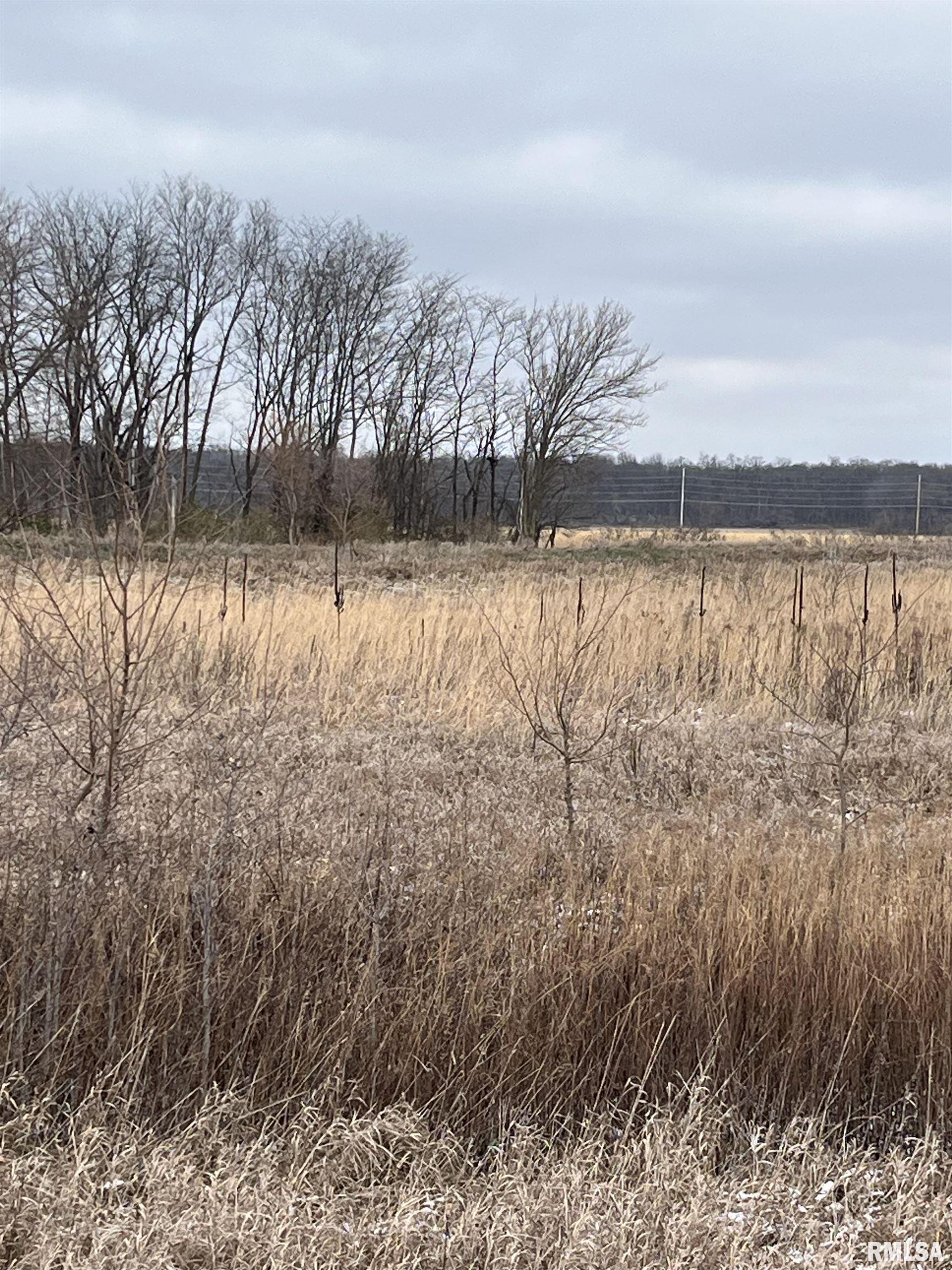 County Road 2000 N Road, Forest City, Illinois image 3