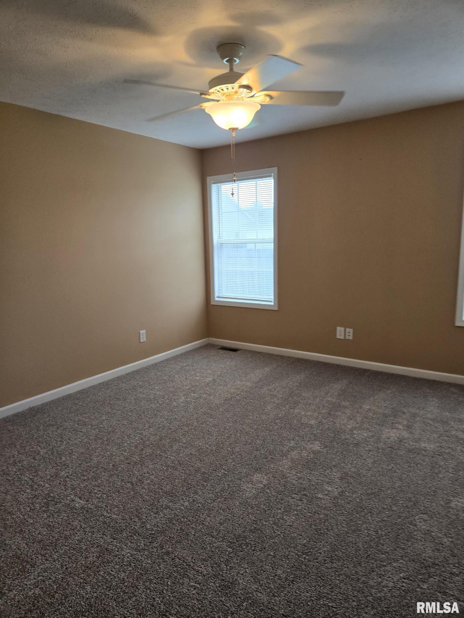 172 Possum Pass Court, Sherman, Illinois image 8