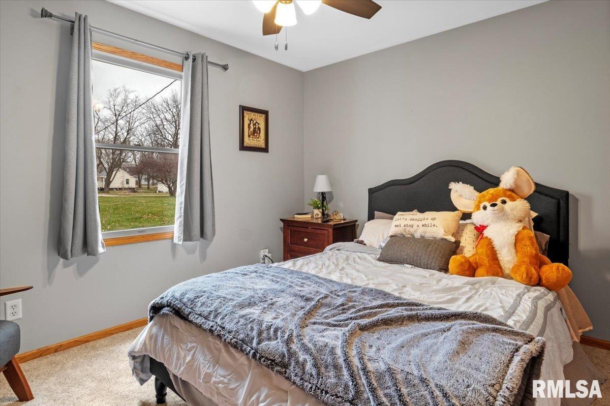 408 S Campbell Street, Edinburg, Illinois image 14