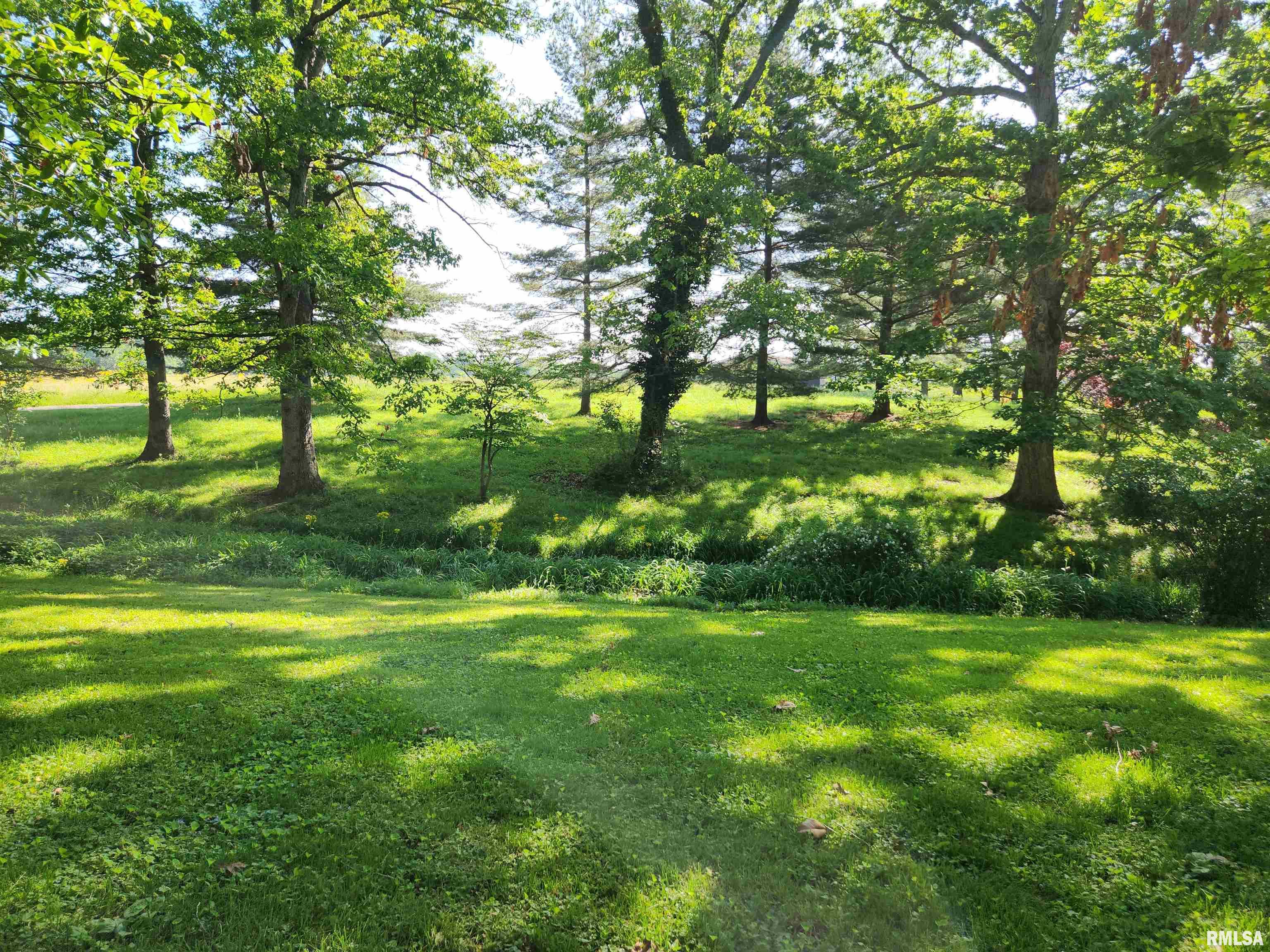 6535 E Yale Road, Woodlawn, Illinois image 16