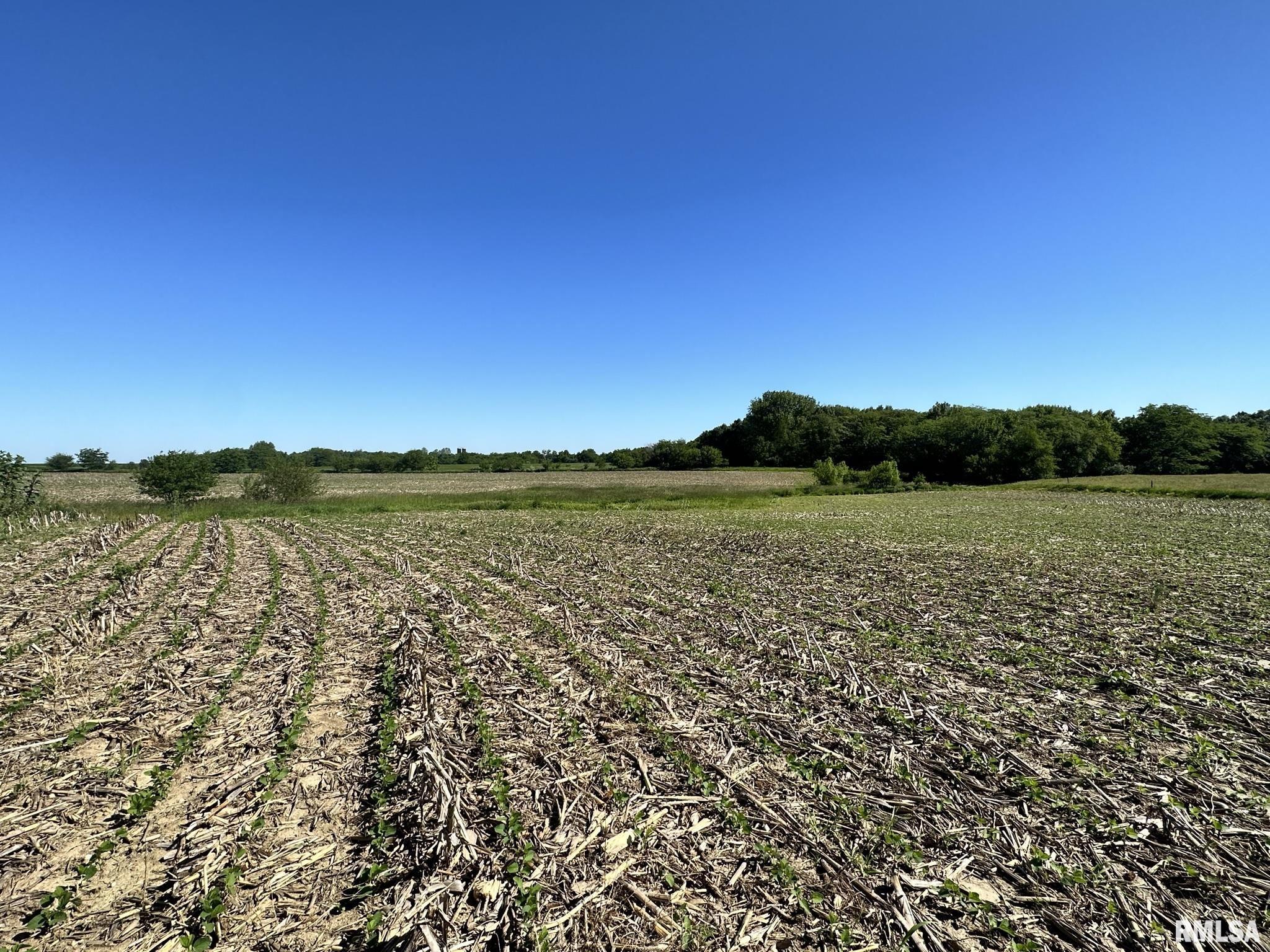 500 N Broadway Street, Table Grove, Illinois image 18