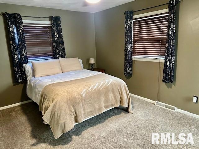 6 Wildwood Court, Taylorville, Illinois image 12