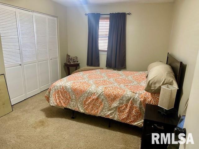 6 Wildwood Court, Taylorville, Illinois image 11