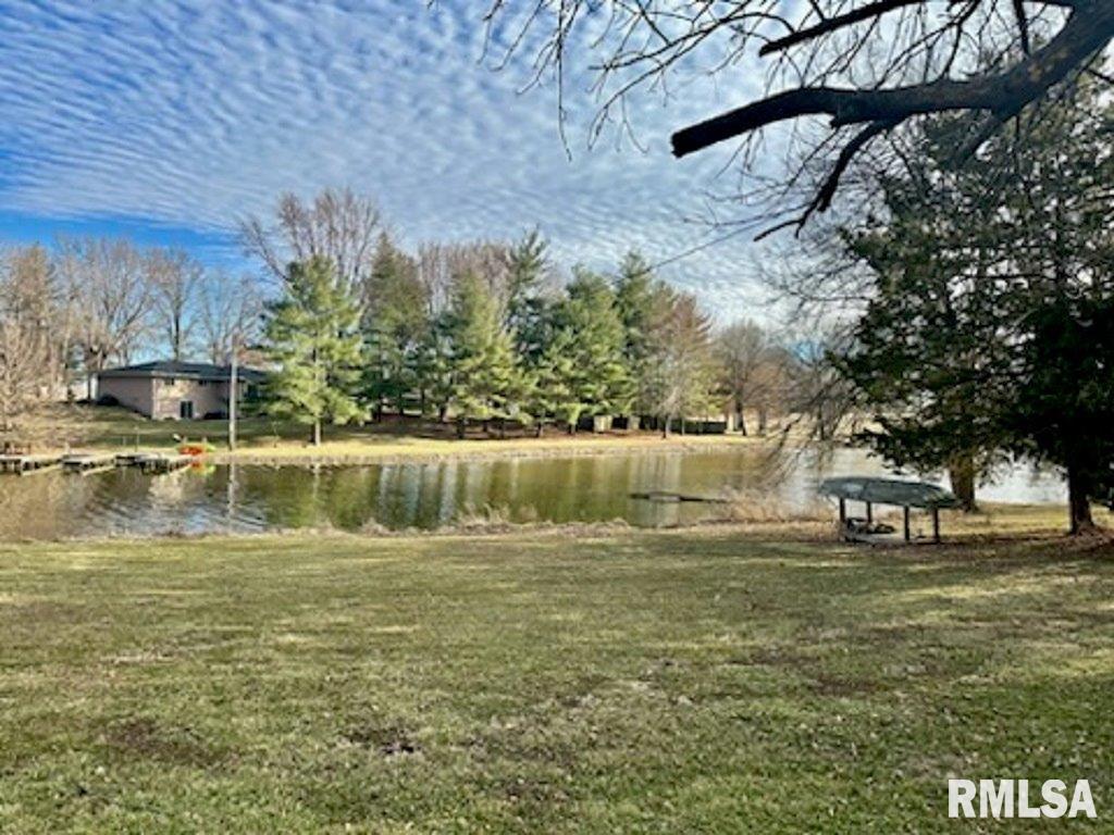 6 Wildwood Court, Taylorville, Illinois image 20