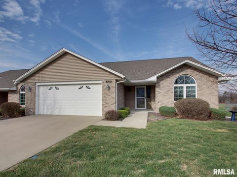 Homes For Sale - 4919 Chestnut Street<br/> Adams County, Quincy, IL 62305