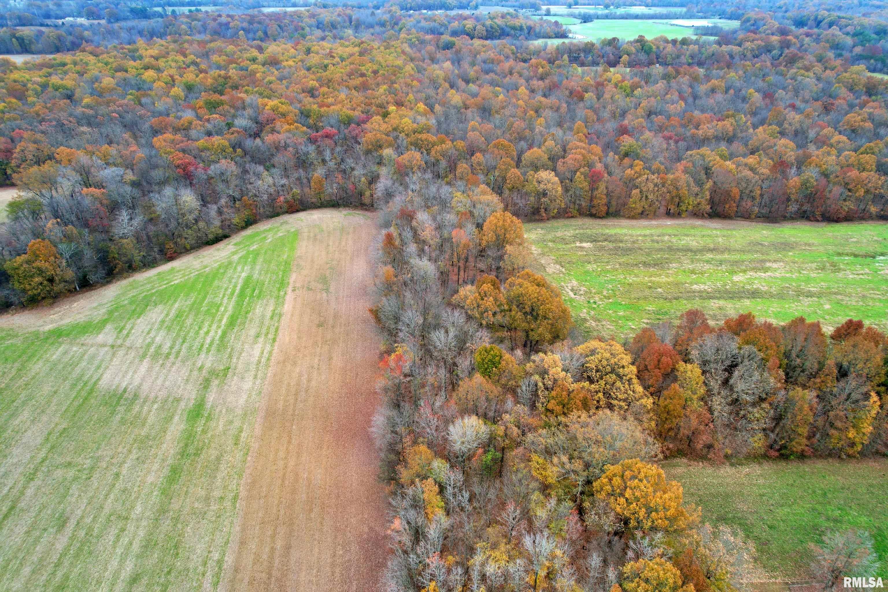 000 Strawberry Road, Brookport, Illinois image 3