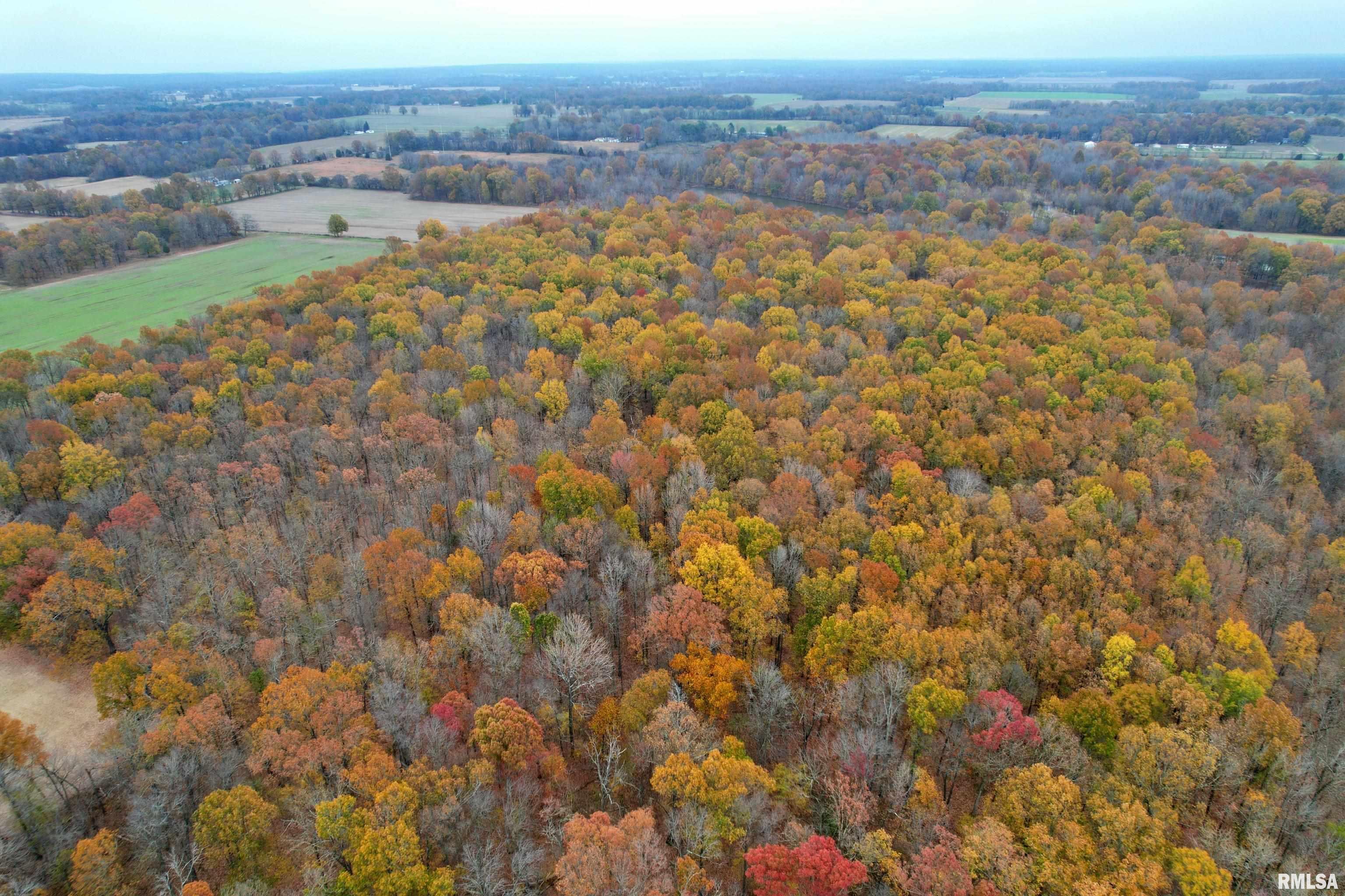 000 Strawberry Road, Brookport, Illinois image 4