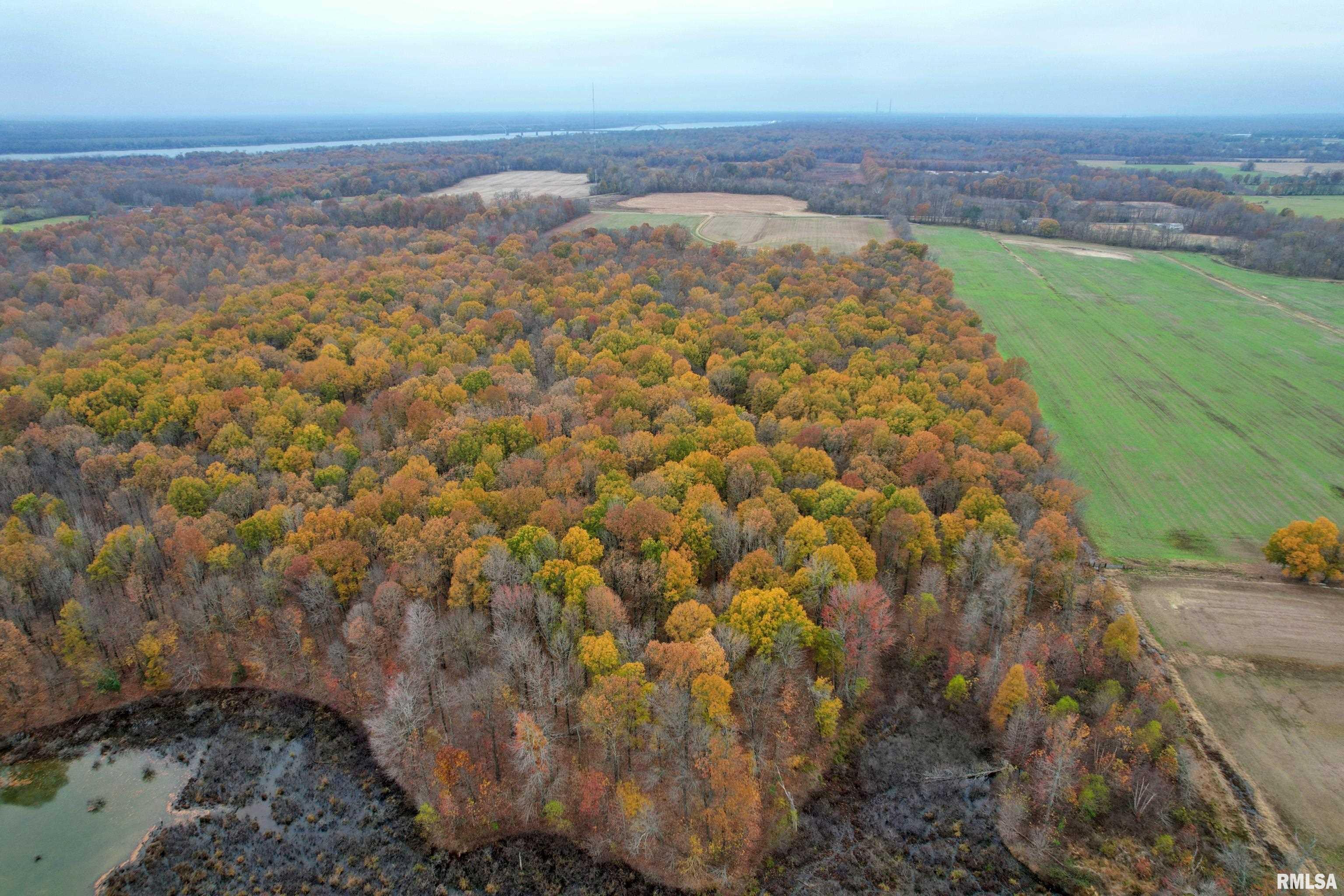 000 Strawberry Road, Brookport, Illinois image 12