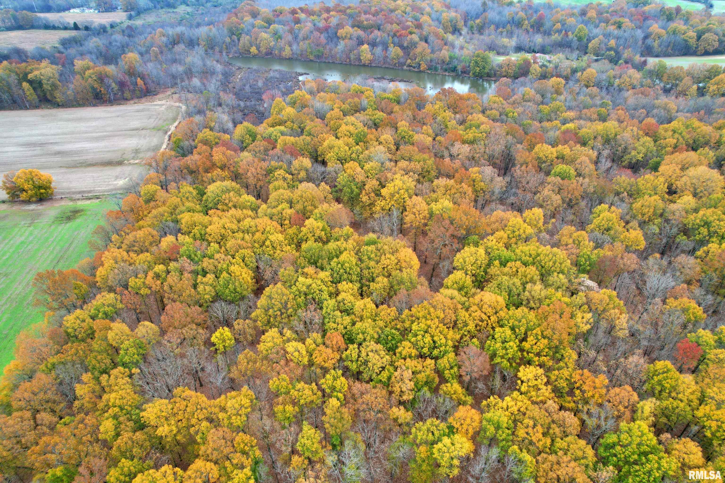 000 Strawberry Road, Brookport, Illinois image 8