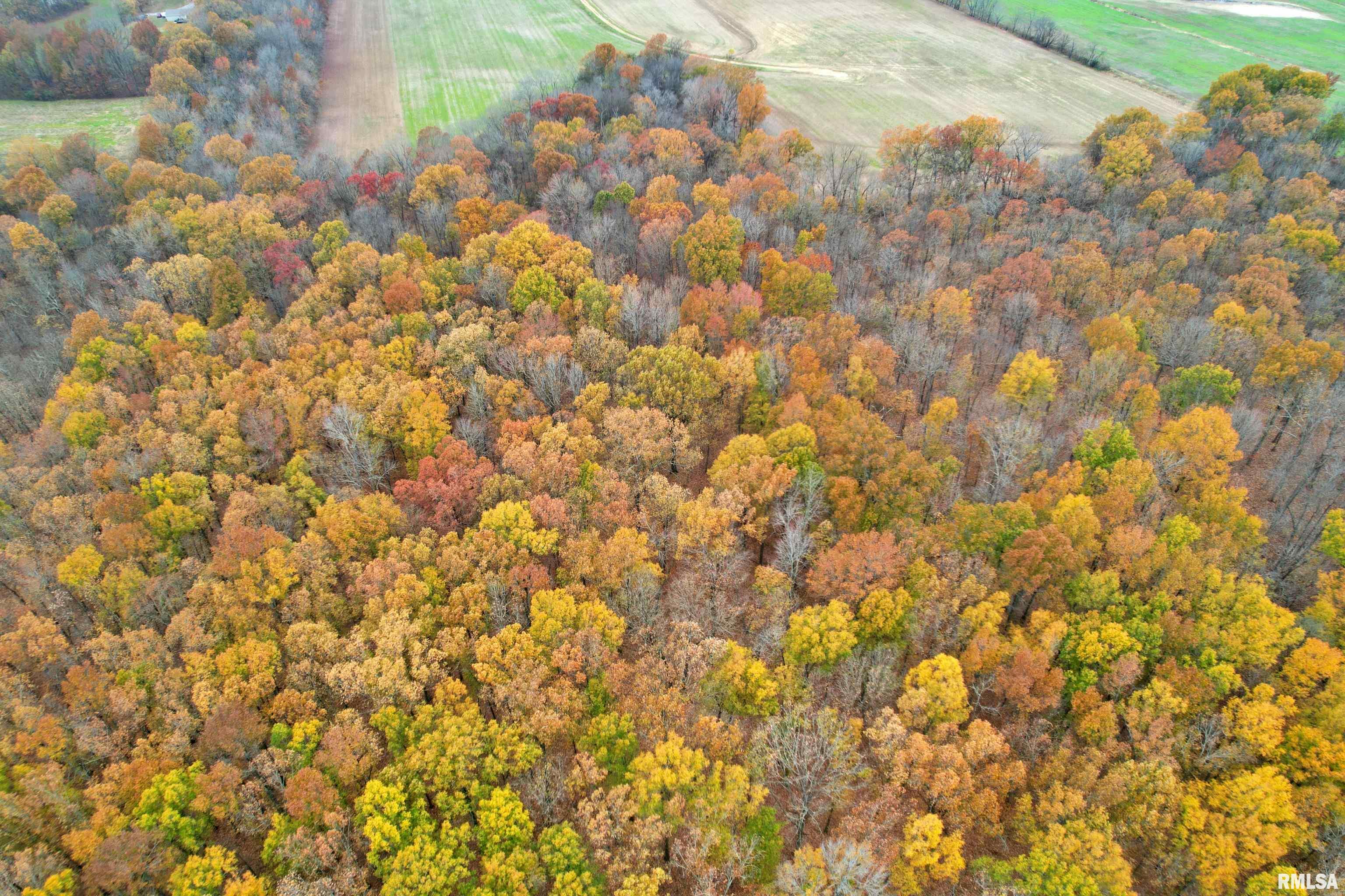 000 Strawberry Road, Brookport, Illinois image 18