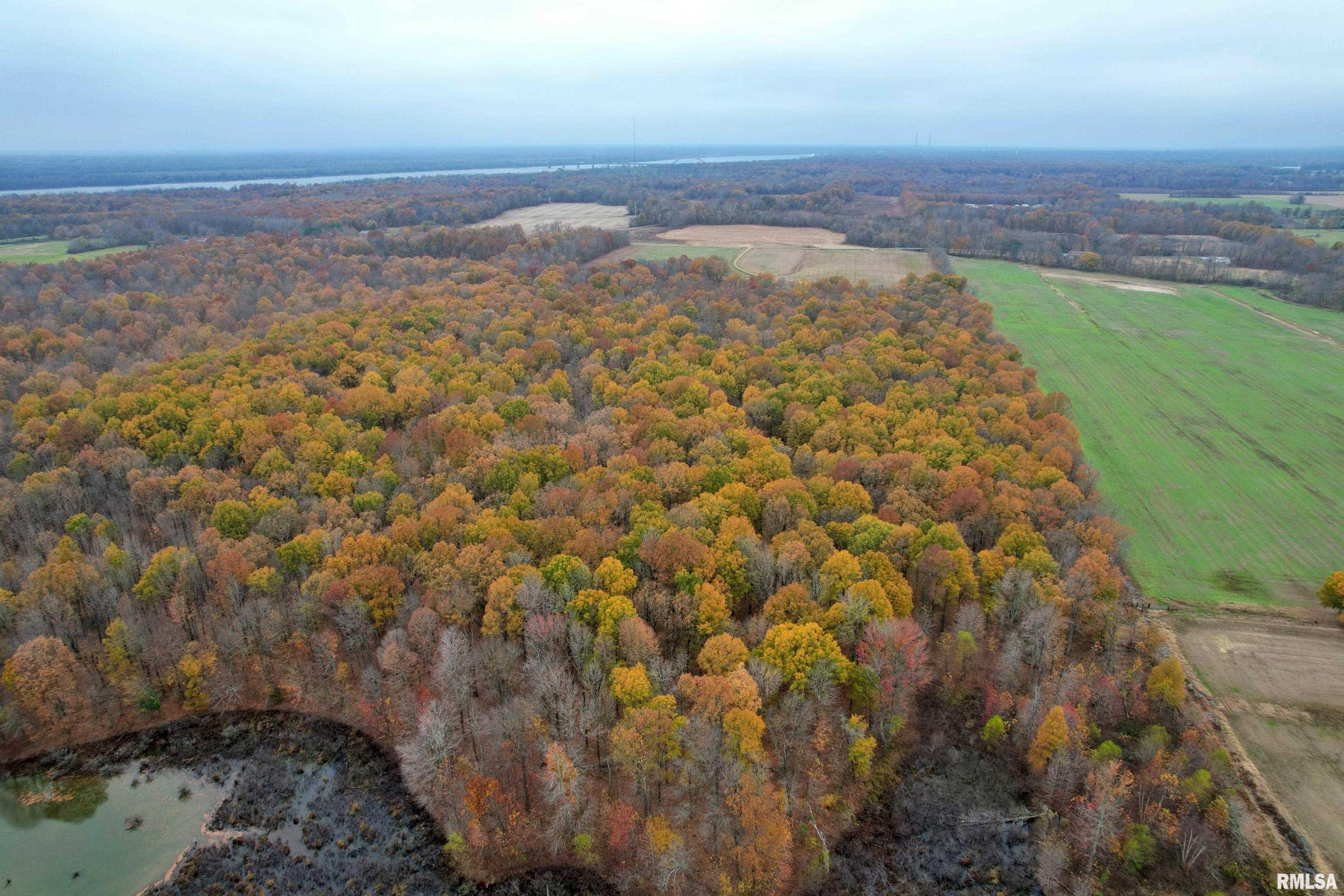 000 Strawberry Road, Brookport, Illinois image 1