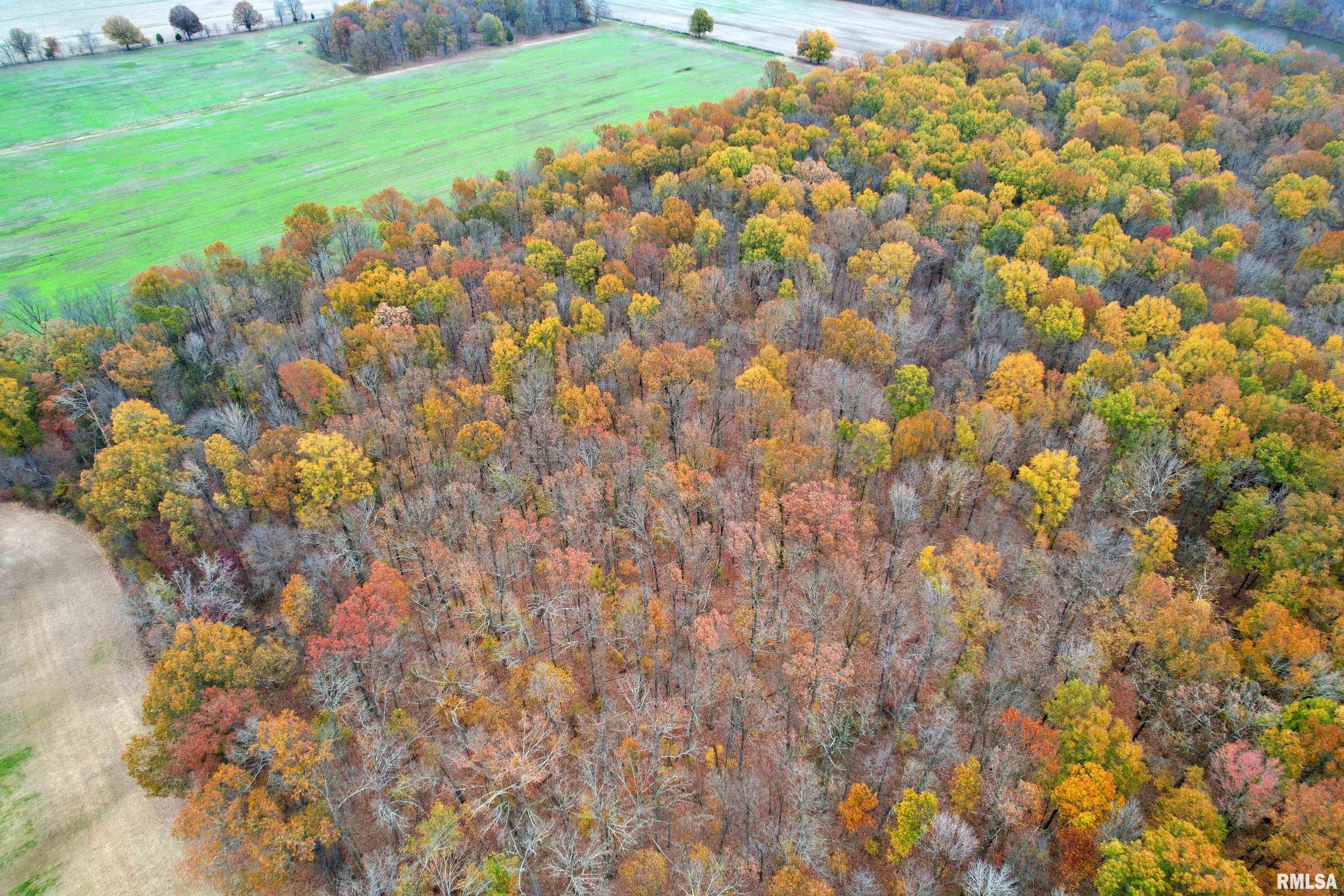 000 Strawberry Road, Brookport, Illinois image 5