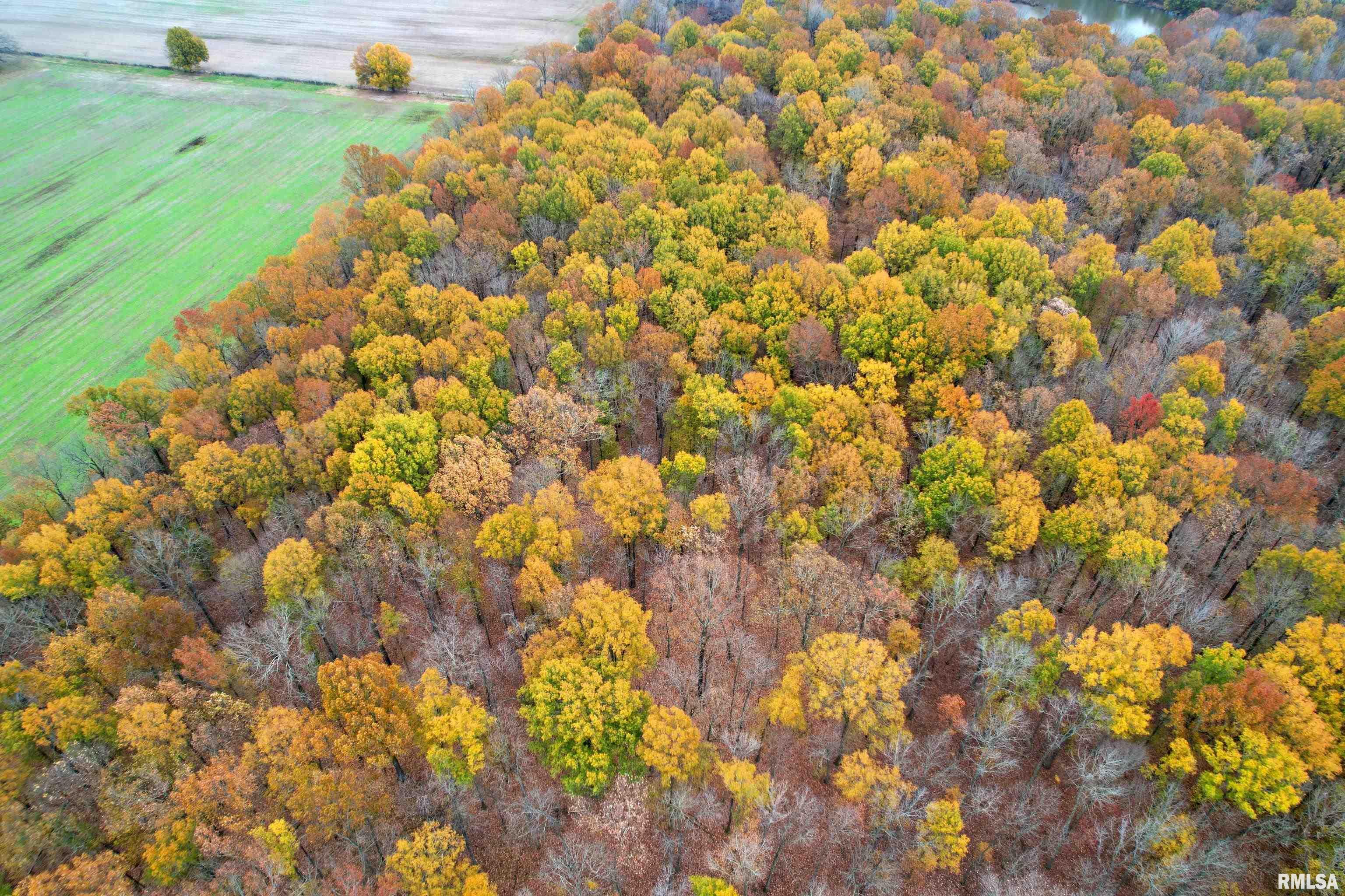 000 Strawberry Road, Brookport, Illinois image 6