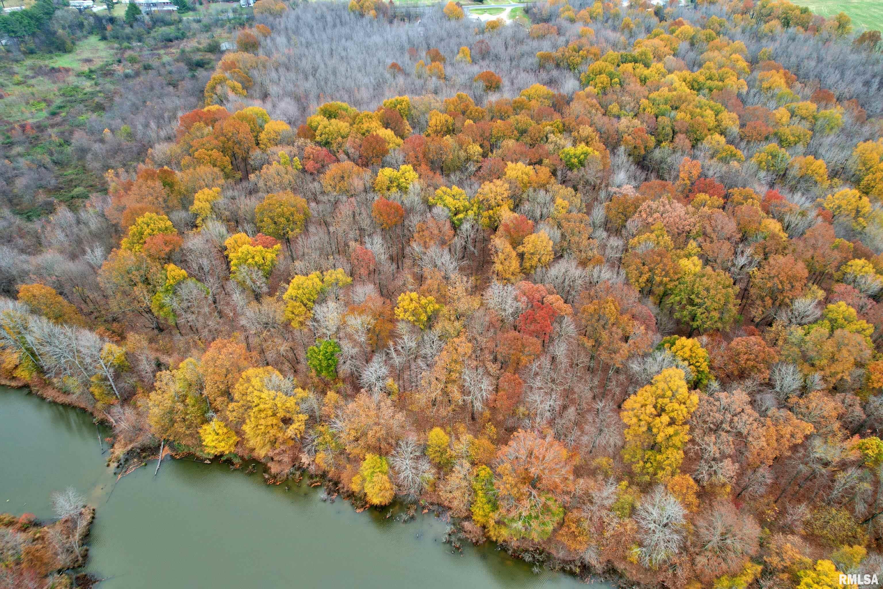 000 Strawberry Road, Brookport, Illinois image 11