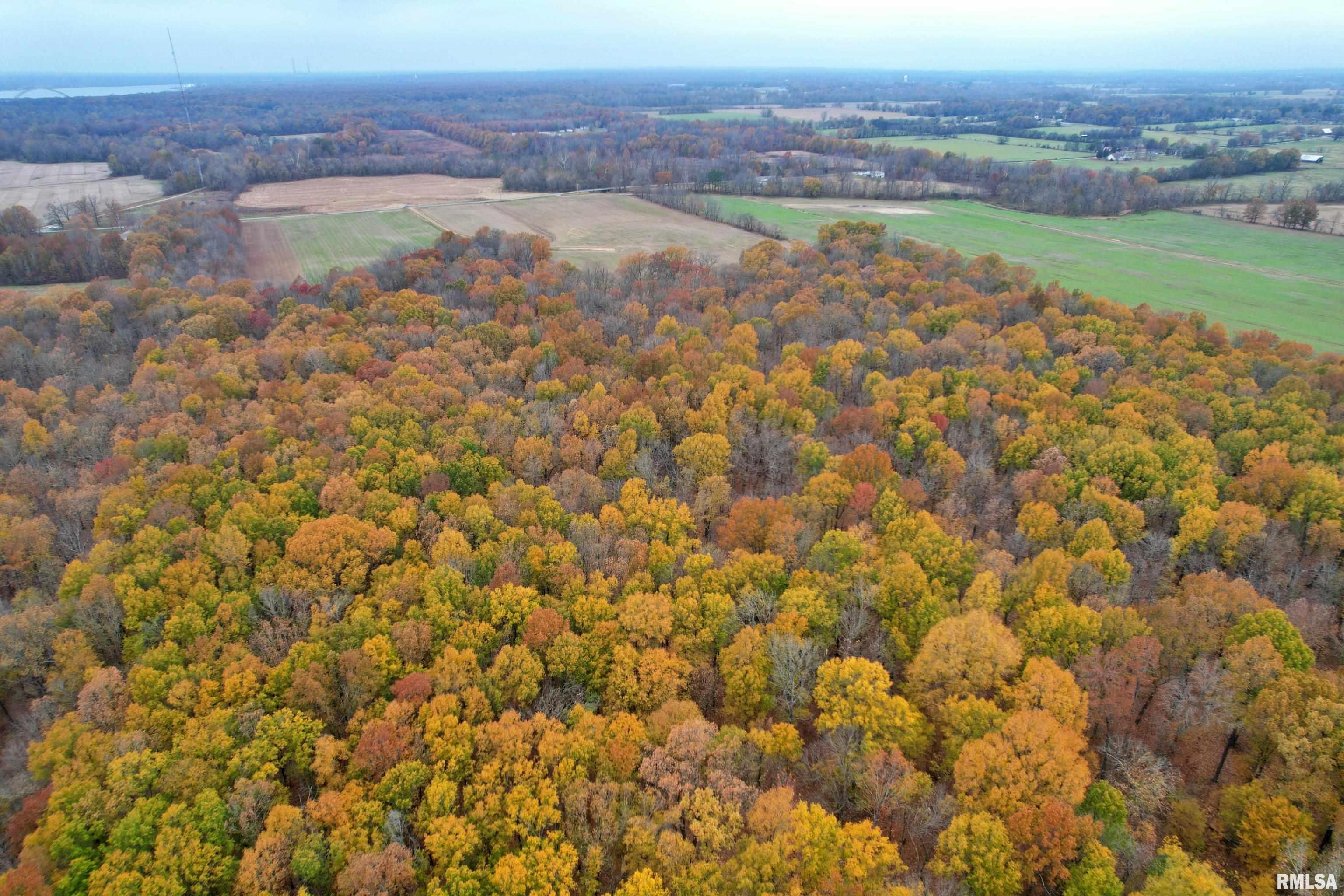 000 Strawberry Road, Brookport, Illinois image 17