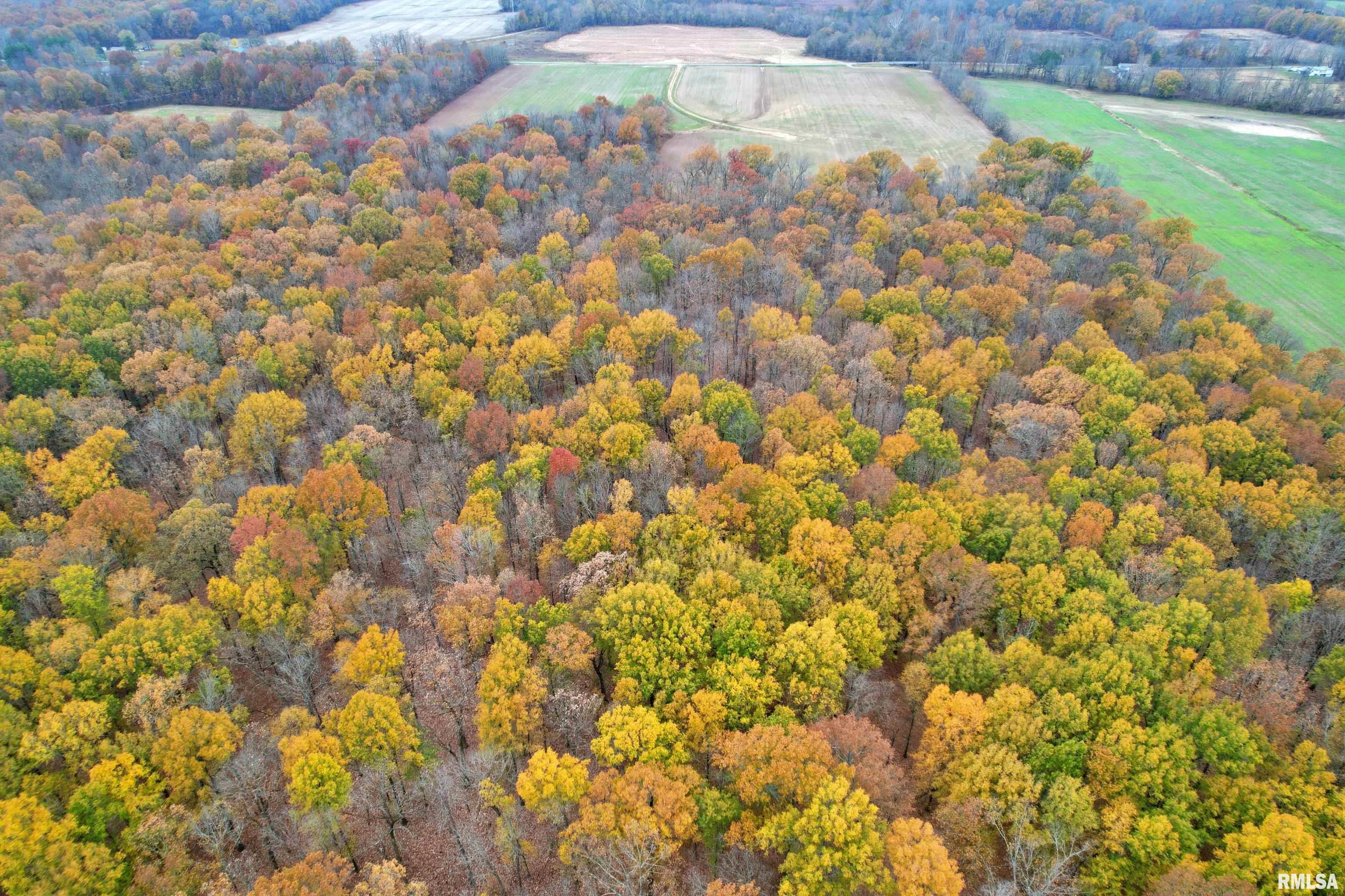 000 Strawberry Road, Brookport, Illinois image 14