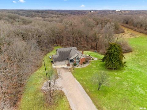 Homes For Sale - 377 Ten Mile Creek Road<br/> Germantown Hills, IL 61548