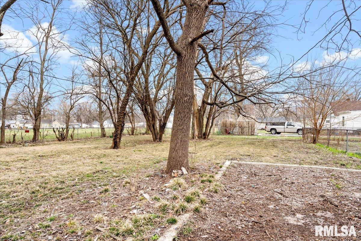 1108 N 12th Street, Springfield, Illinois image 8