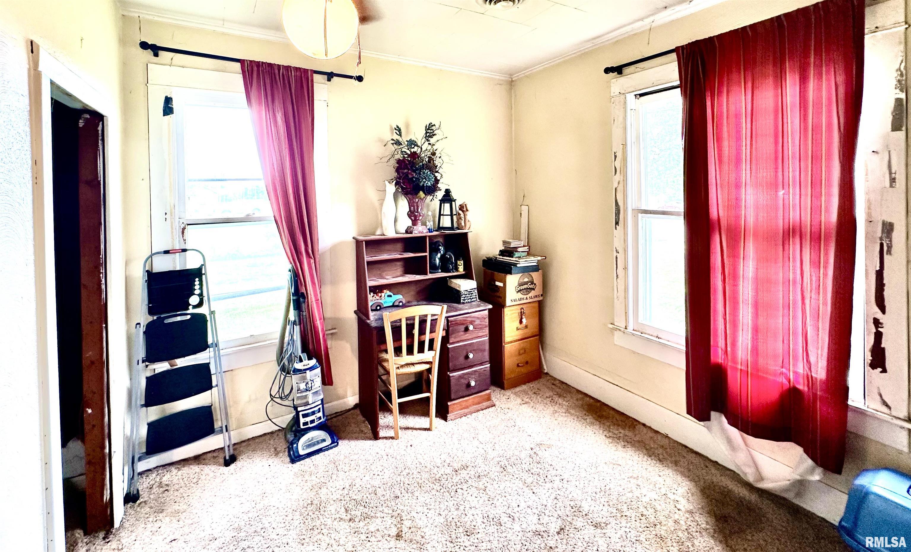 1105 N Maple Street, Carterville, Illinois image 14