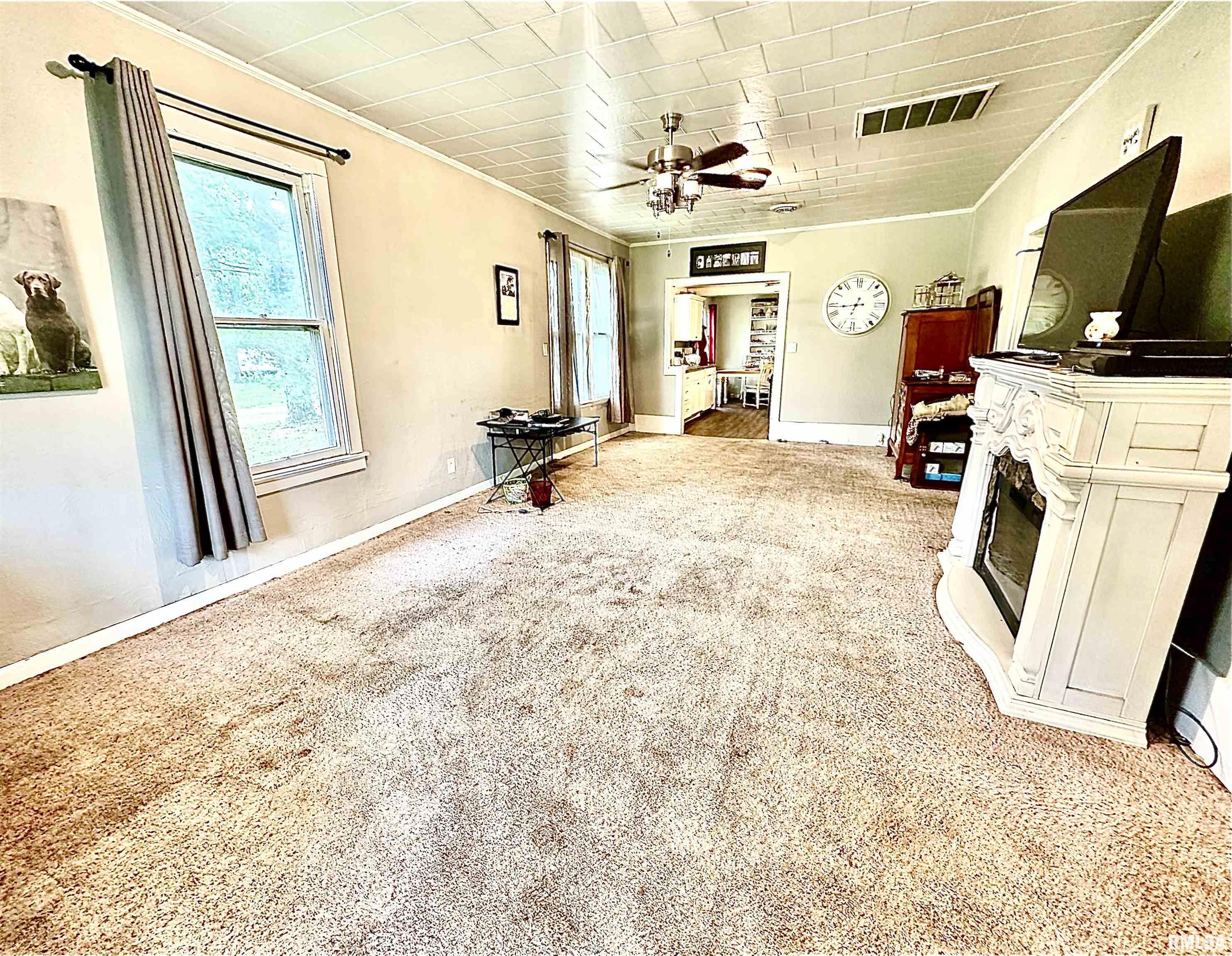 1105 N Maple Street, Carterville, Illinois image 4