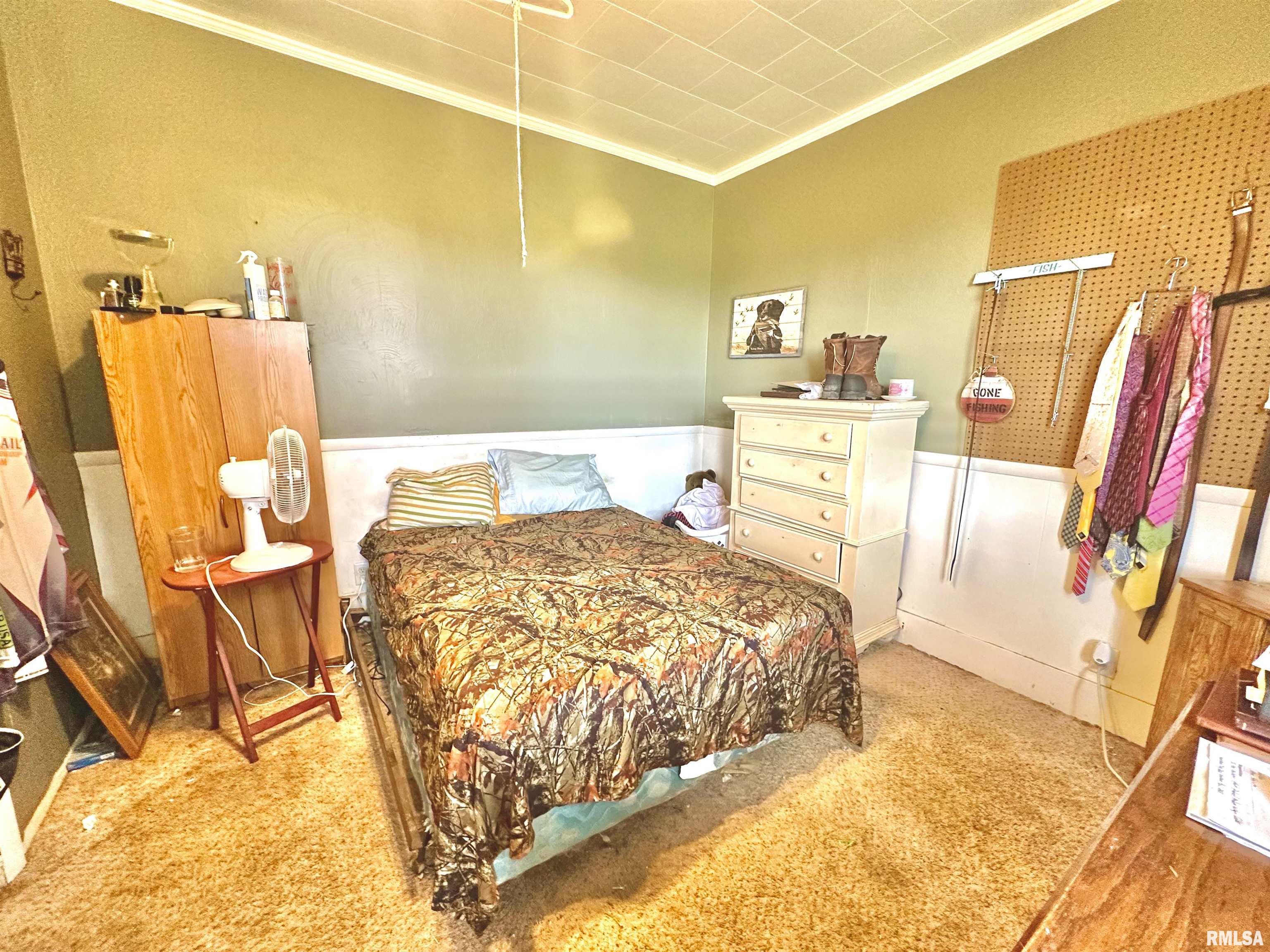 1105 N Maple Street, Carterville, Illinois image 10