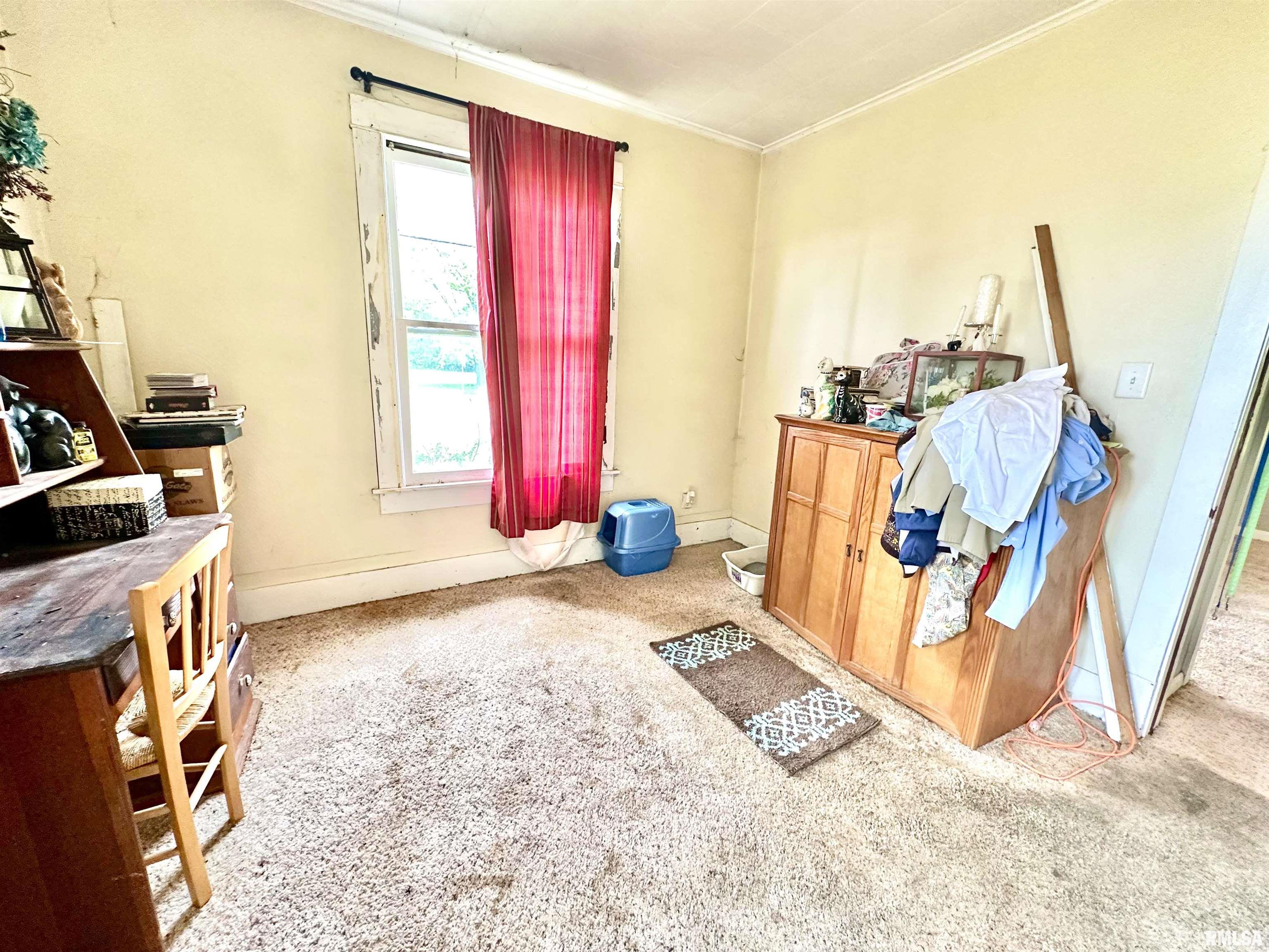 1105 N Maple Street, Carterville, Illinois image 16