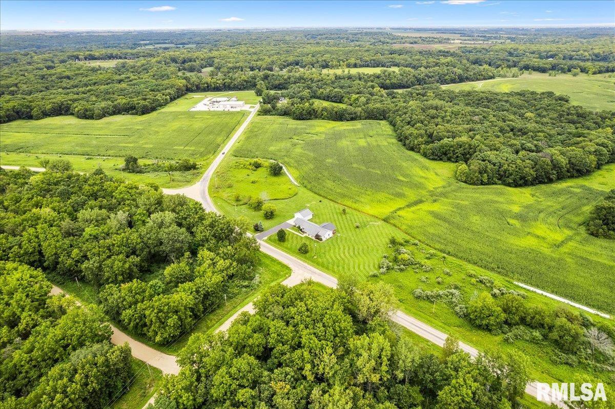 7049 Oak Run Drive, Dahinda, Illinois image 33