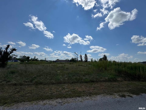 Vacant Land For Sale - 12897 Kyler Court<br/> Williamson County, Marion, IL 62959