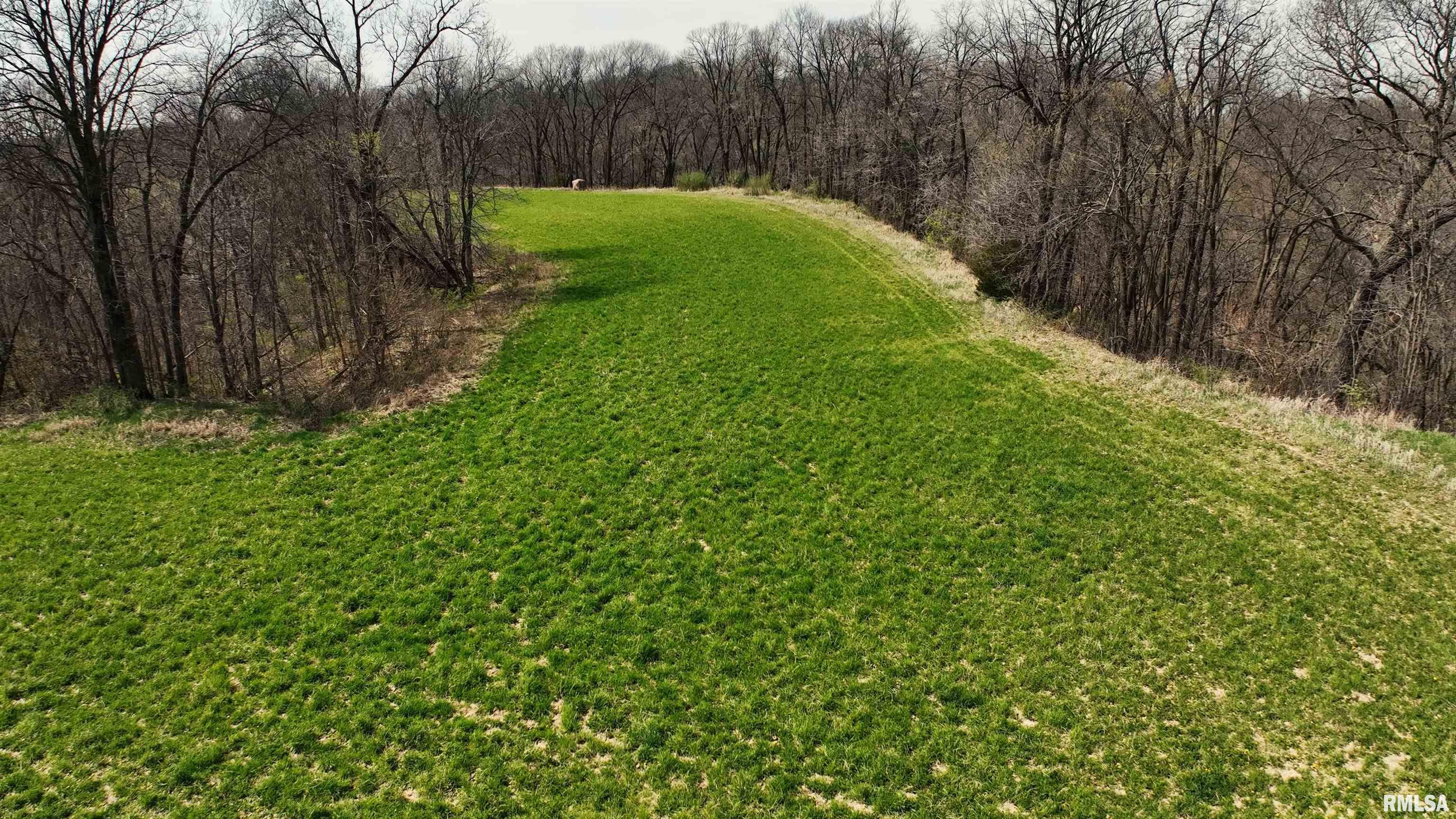 30020 180th Street, Illinois City, Illinois image 14