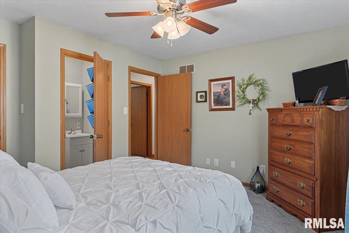 122 W Chapin Street, Litchfield, Illinois image 17