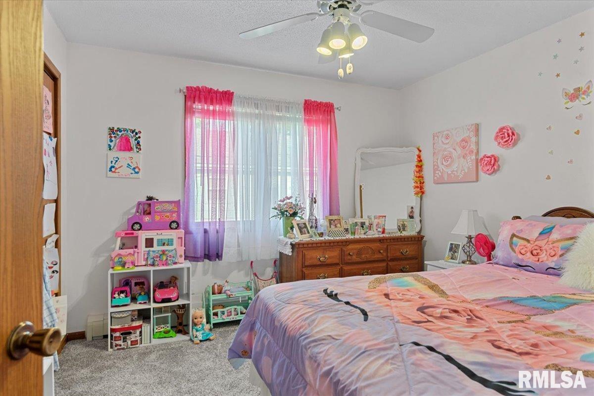 122 W Chapin Street, Litchfield, Illinois image 14
