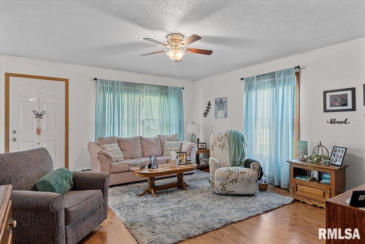 122 W Chapin Street, Litchfield, Illinois image 7
